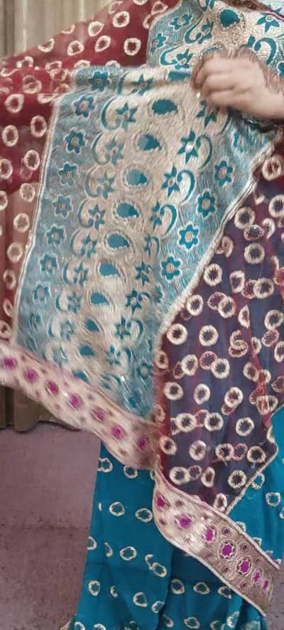 heavy luxury fancy Indian saree