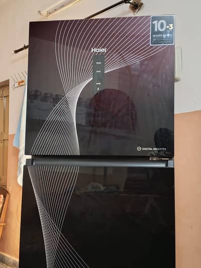 3 months Used Haier HRF-316 IFRA