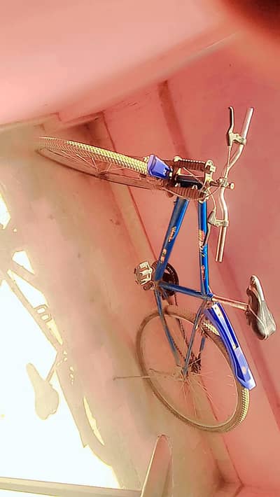 used  cycle  only chain problem