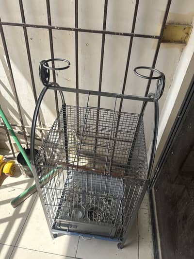 African Grey / Cuckatoo Cage