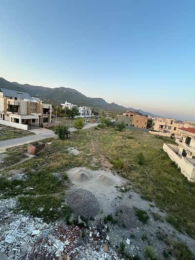 60x90 Beautiful Back Open Plot on Prime Location In D12/2