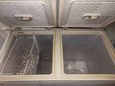 Waves Deep Double Door Freezer