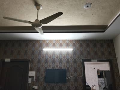 Cheap and beautifull