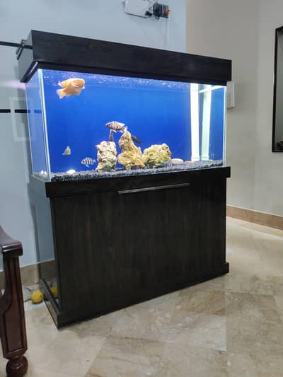 4 Feet Aquarium with Sump Filter System