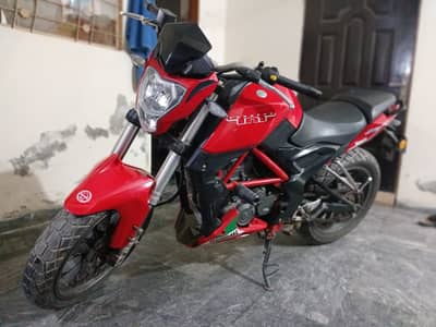 Benelli TNT 25 | Model 2019 | Benelli In Bike | Excellent Condition