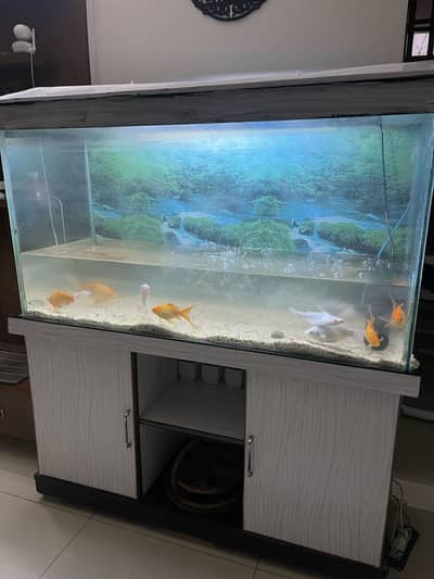 Aquarium with 8 fish and all accessories