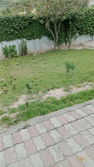 10 Marla Residential House for Rent