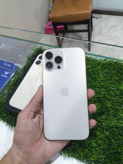 Apple iPhone 13 Pro Max