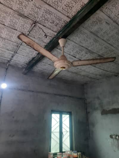 5 celling fan 1 exhaust 1 padestal fan