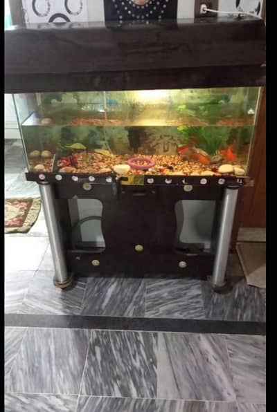 Fish and aquarium is available for sale