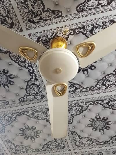 Two ceeling Fan,s
