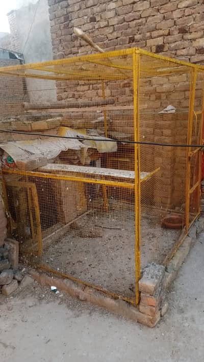 Pigeon cage