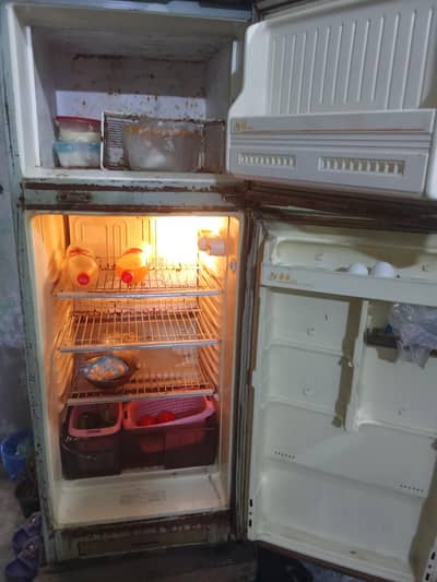 Philips fridge  03174849607