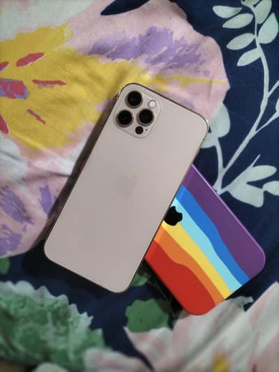 iPhone 12 pro golden colour