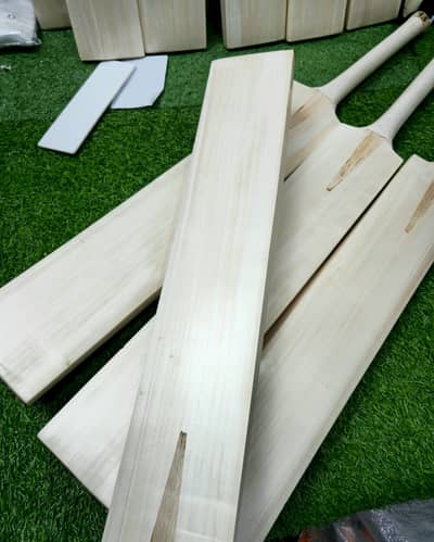 Hardball Cricket Bat| Kashmiri Willows PREMIUM Quality Hardball Crick