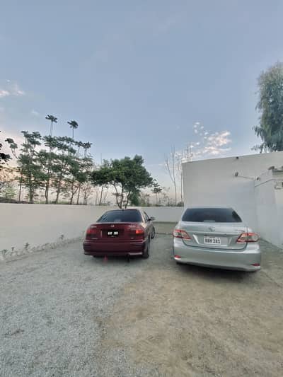 03137562818 own my name company automatically transmission