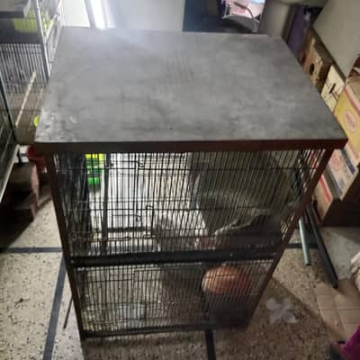 cage total angle and moti taar