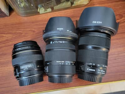 Sigma 17-50mm os HSM | Canon 24-105mm STM | Canon 100mm f2 usm
