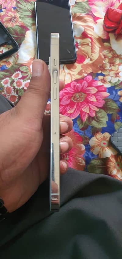 Iphone 12 pro max FU