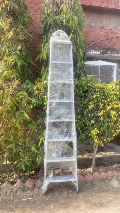 Foldable Ladder 3/4/5/6/7/8/10/12/14/16