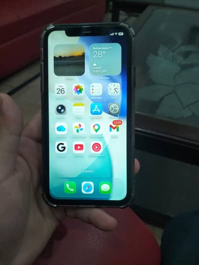 Iphone 11 64 GB Dual PTA Approved