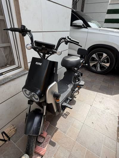 evee electric scotey