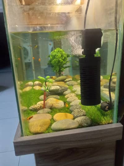 Aquarium with stand.
