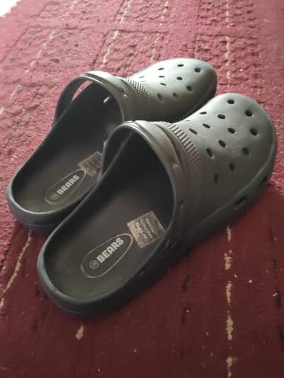 Brand new bears original Crocs size 12