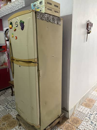 Pell refrigerator old model