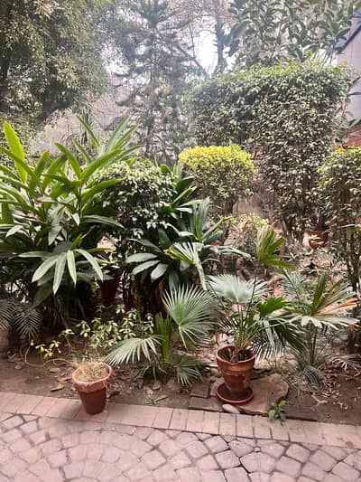 4 Kanal Office Available For Sale