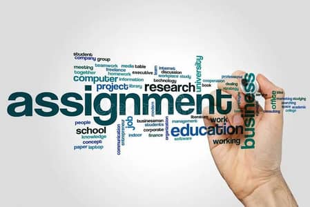 Custom Assignments & Presentations Handwritten/ MS Office-Affordable