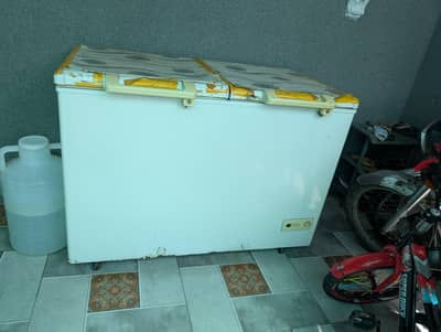 Two Door deep freezer