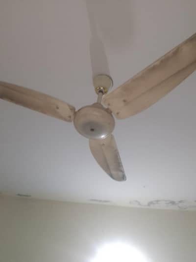 3 ceiling fans