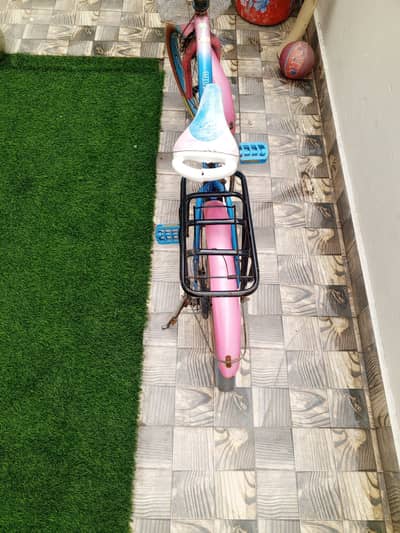 HIDREGON Chinese cycle