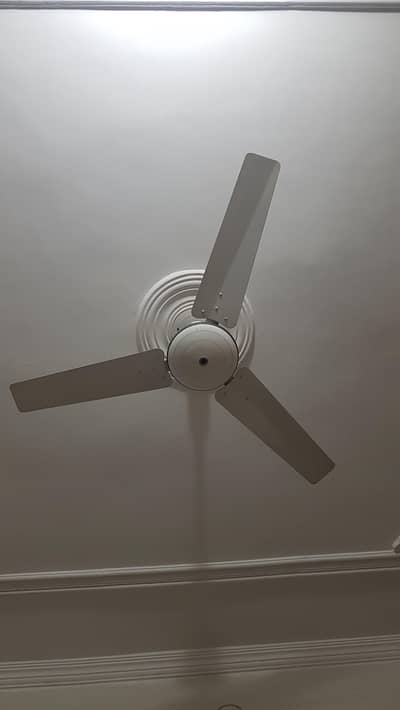 3 Fans for sale