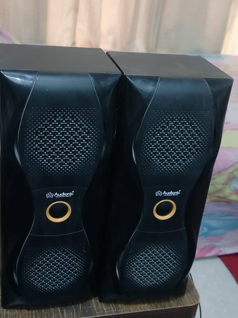 Audionic flex 600 (woofer) 1