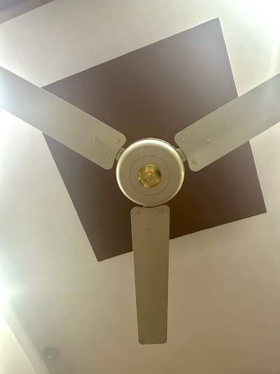 Super Asia Ceiling Fan