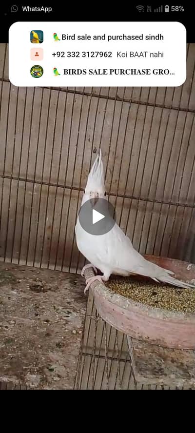 my mini setup for sale read description  price mentioned with details