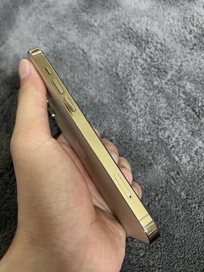 Iphone 12 pro 128gb pta approved