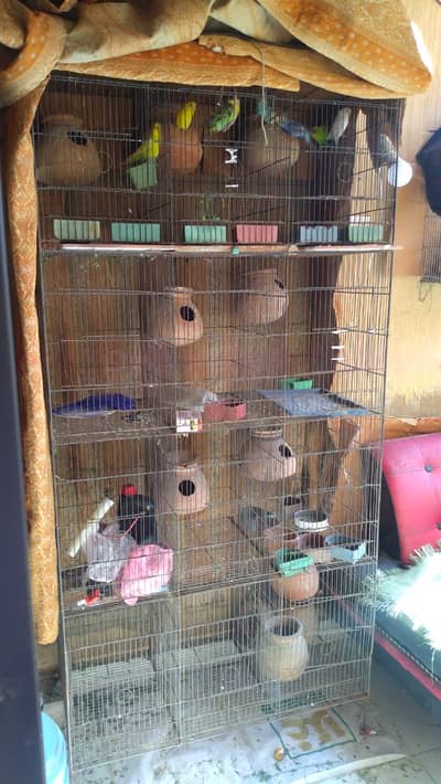 Budgies/lovebird Cage for sale