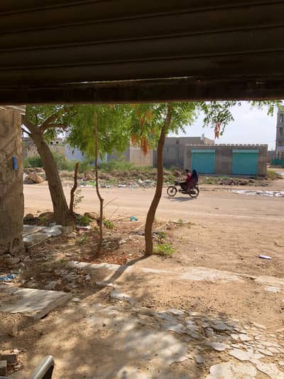 house for seal Main rood