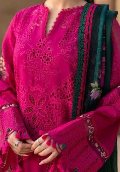 Elegant Chikankari Grace.