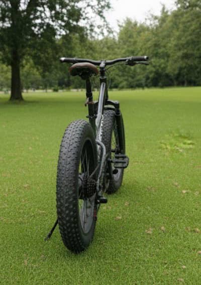 BICYCLE FAT WITH GEAR