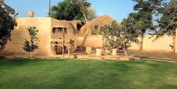 A Prime Location Farm House Of 4 Kanal In Suraj Miani Road