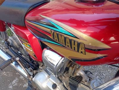 ToTal Genuine Lush Condition Yamaha 4 Stroke