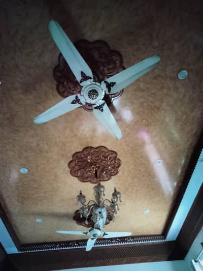 Pak fans 3 year use condition 10by 10