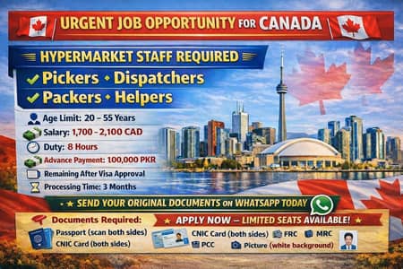 we provide work visa services