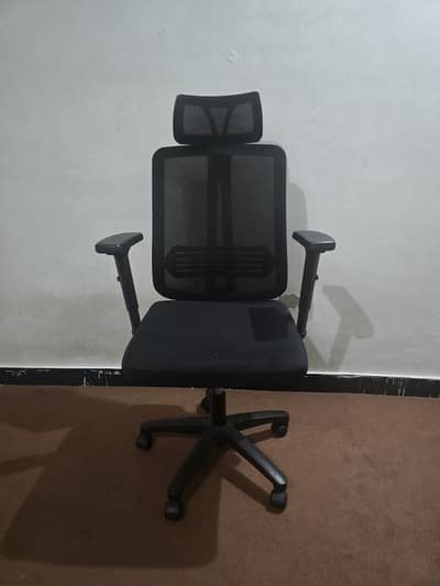 Office Chair, 10/10 condition