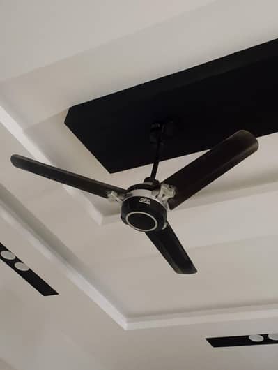 GFC Celing Fan for sale Stylish Model Black Colaor Excellent Condition