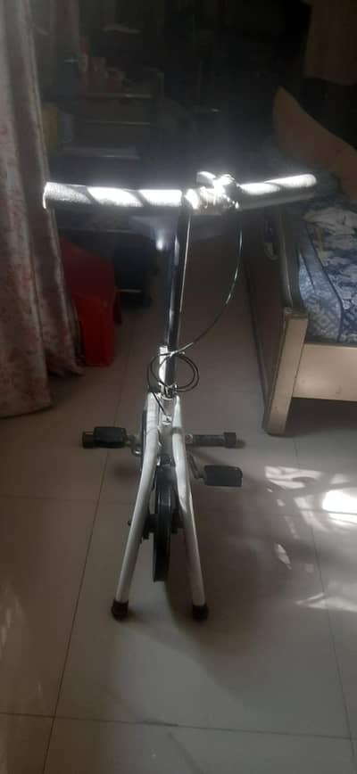 bike for exercise in house
